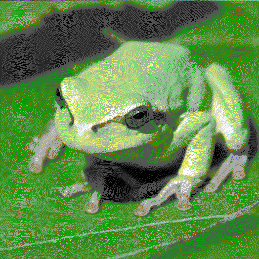 The Tree Frog sample photo, with CGA Colours