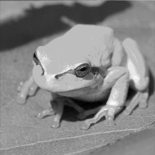 The Tree Frog sample photo, in 16 colour grayscale.